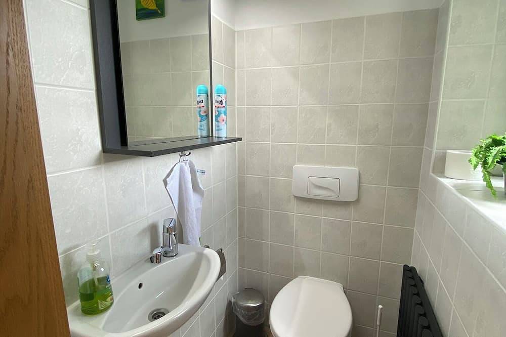 Ganze Wohnung, Gemütliche Ferienwohnung über 2 Etagen mit Garten und Kamin, Haustierfreundlich! in Oberwiesenthal, Erzgebirge