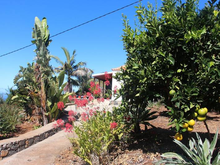 Ferienhaus für 3 Personen, mit Terrasse und Garten auf La Palma - 3