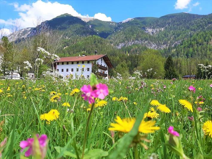 Bauernhof für 4 Personen, mit Balkon und Garten am Achensee