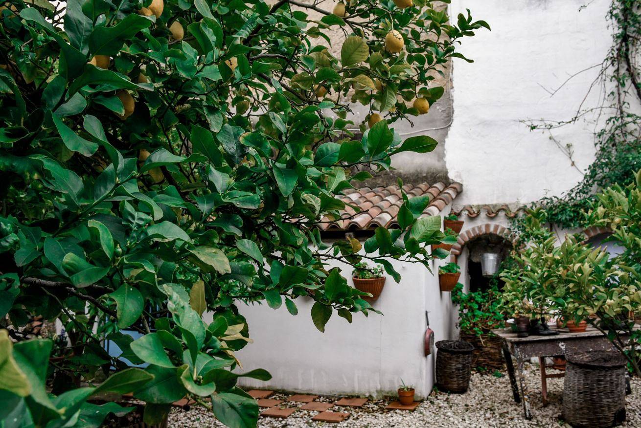 Appartement entier, Giardino dei Limoni Rooms 2 in Oliena, Barbagia