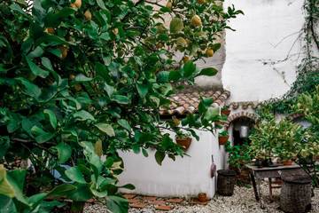 Glamping voor 2 Personen in Oliena, Provincie Nuoro, Afbeelding 2