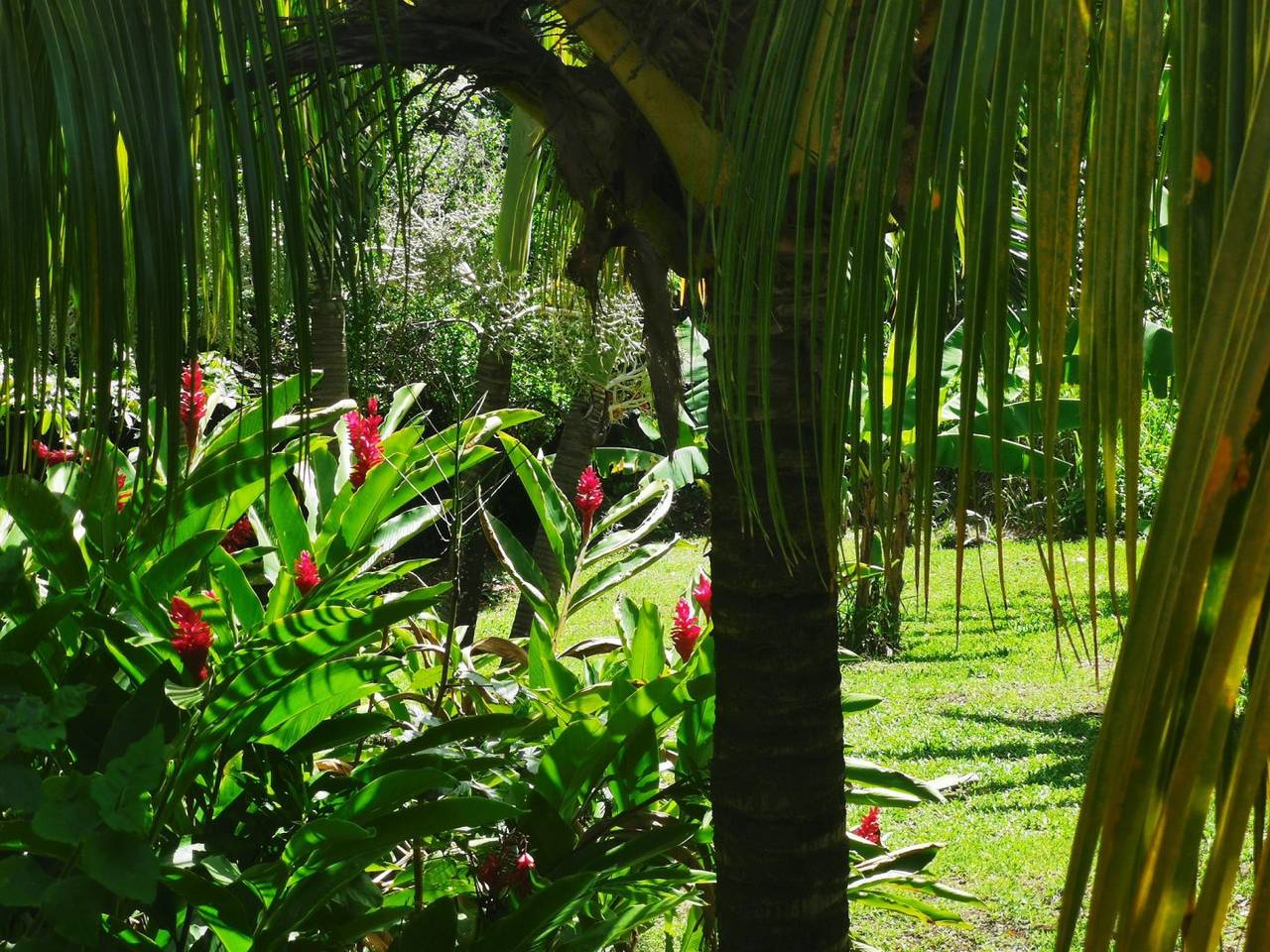 Bungalow Sherazade - Mille et une nuits in Bouillante, Guadeloupe