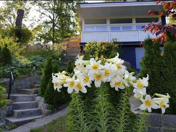 Ferienhaus für 2 Personen, mit Balkon und Terrasse sowie Garten und Seeblick in Havelland - 3