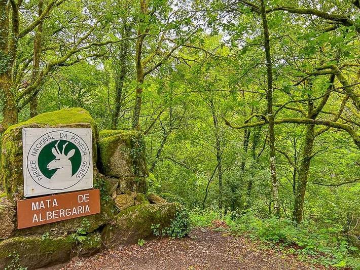 Location de vacances pour 7 personnes, avec piscine ainsi que jardin et vue dans Caniçada - 3