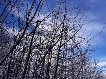 Ferienwohnung für 6 Personen in Oldeburg, Südbrookmerland, Bild 1