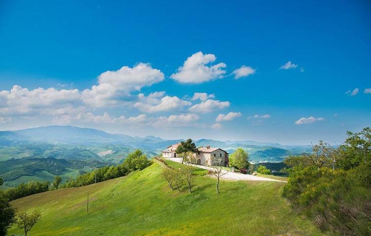 Gîte pour 4 personnes, avec terrasse et jacuzzi, animaux acceptés à Sant'Angelo in Vado - 3