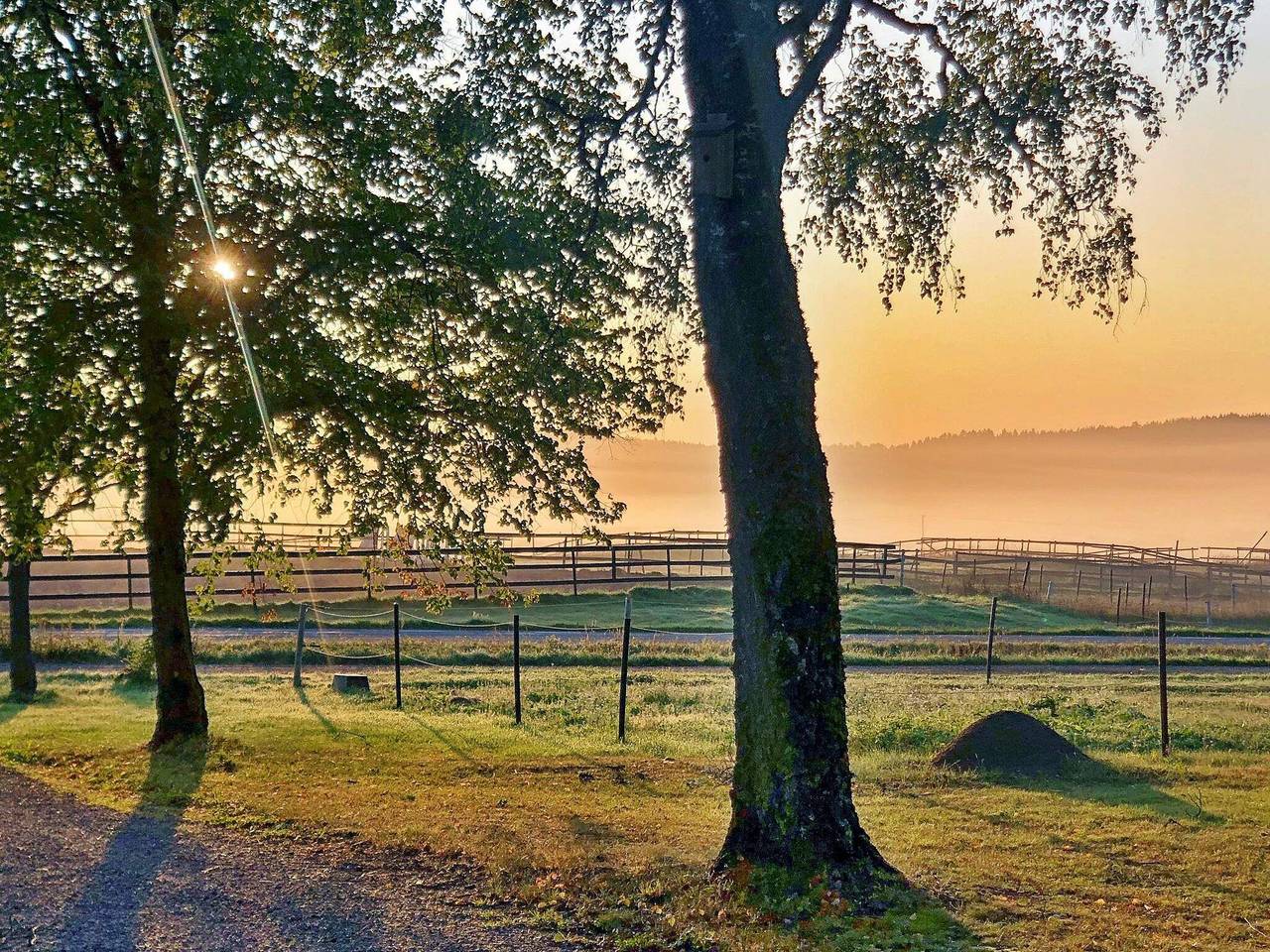 9 Personen Ferienhaus in Tystberga in Nyköping kommun