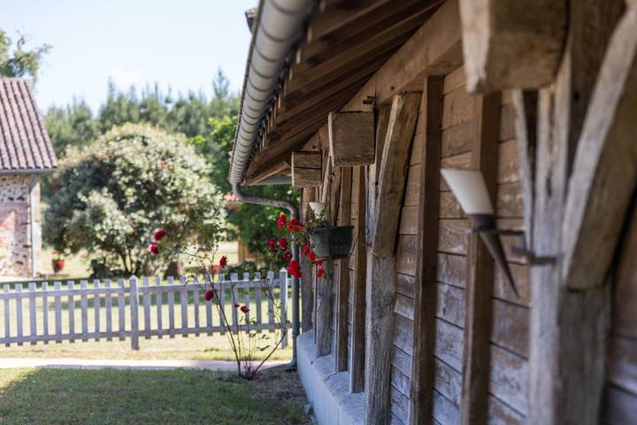 Gîte pour 10 personnes, avec piscine et jardin dans les Landes - 3