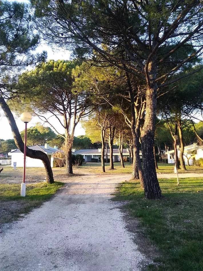 Camping für 4 Personen, mit Terrasse und Pool in Friaul-Julisch Venetien - 4