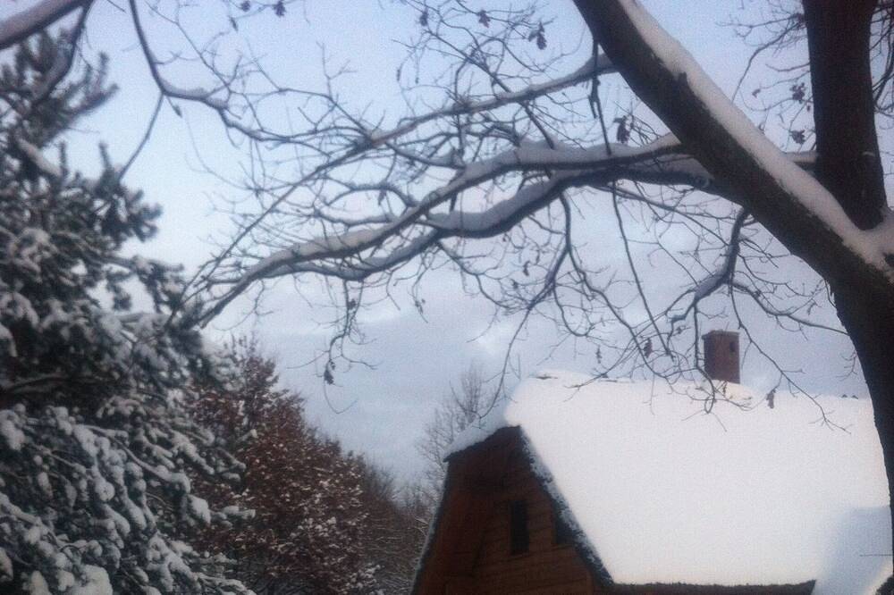 Dom Pod Sosnami in powiat krośnieński