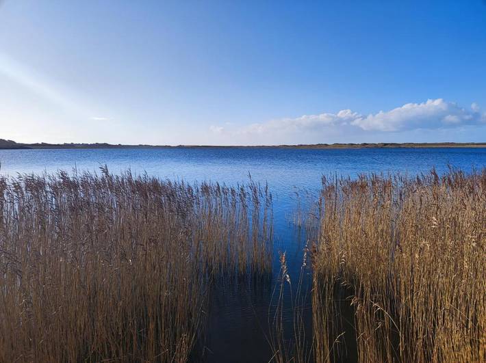 Location de vacances pour 5 personnes, avec vue sur le lac ainsi que jardin et vue, animaux acceptés à Tréogat - 3