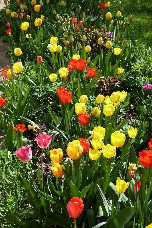 Ferienwohnung Nörpel - Ferienwohnung Nörpel in Igersheim, Taubertal