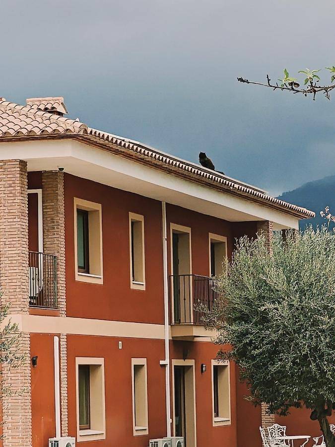 Gîte pour 4 personnes, avec jardin ainsi que piscine et vue, animaux acceptés à Bolulla - 4