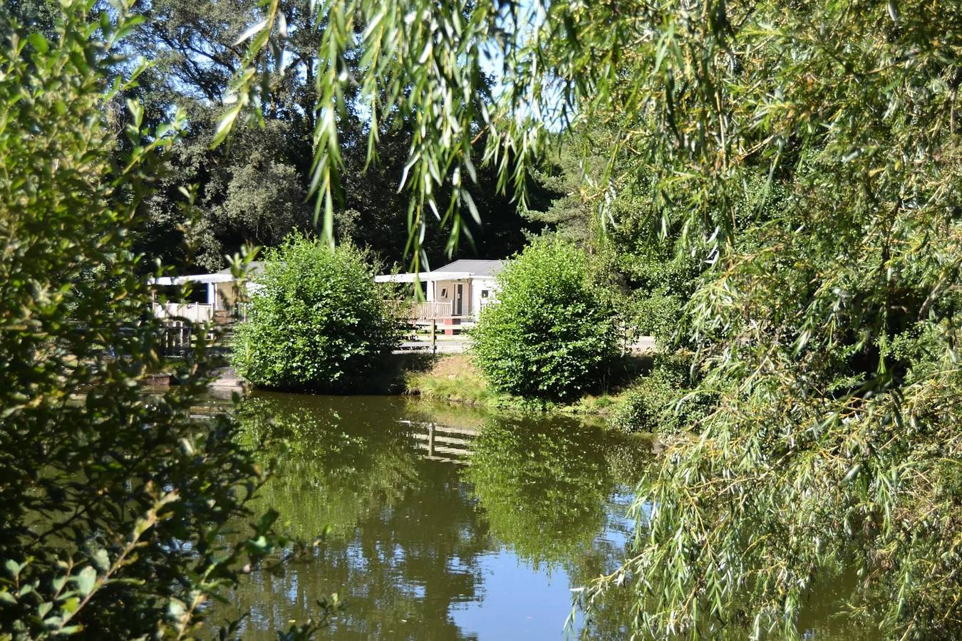 Gîte : 2 chambres dont 1 passante 4 personnes in Région de Tulle