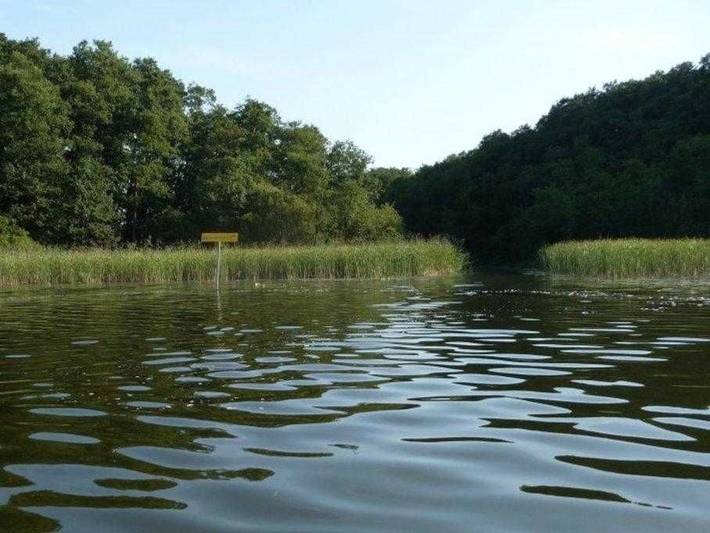 Ferienhäuser Auszeit - am Großen Labussee - Haus 3 in Zwenzow, Userin