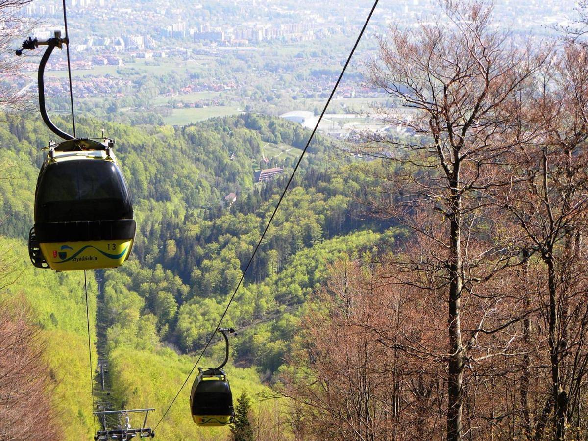 Cały apartament, Apartamenty pod Dębami in Bielsko-Biała, Śląsk