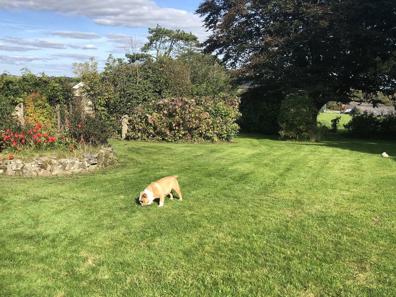 Greenhaven in Narberth, Pembrokeshire