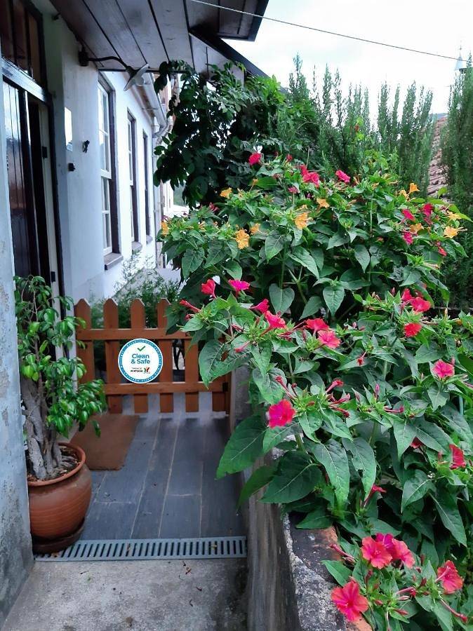 Location de vacances pour 6 personnes, avec Balcon et Terrasse ainsi que Jardin et Vue dans Miranda do Corvo