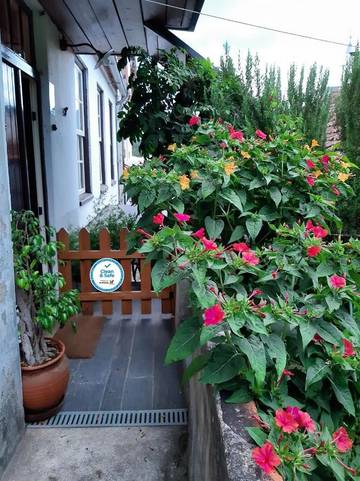 Gîte pour 6 personnes, avec vue et jardin dans Miranda do Corvo
