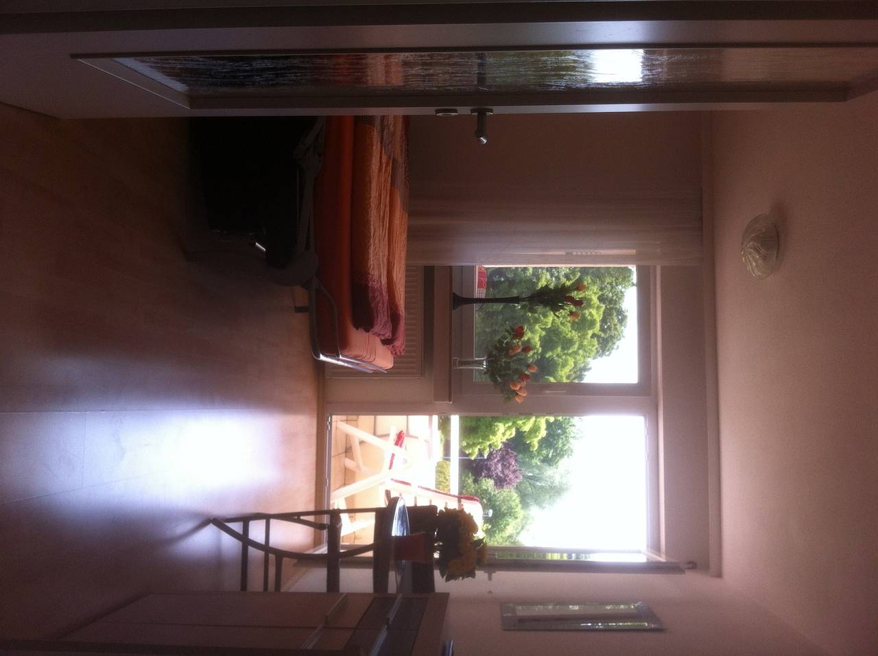 Ganze Ferienwohnung, Seeblick Appartement Bill - 1-Zimmer-Fewo, 20 m², 1. Etage in Radolfzell, Radolfzell am Bodensee