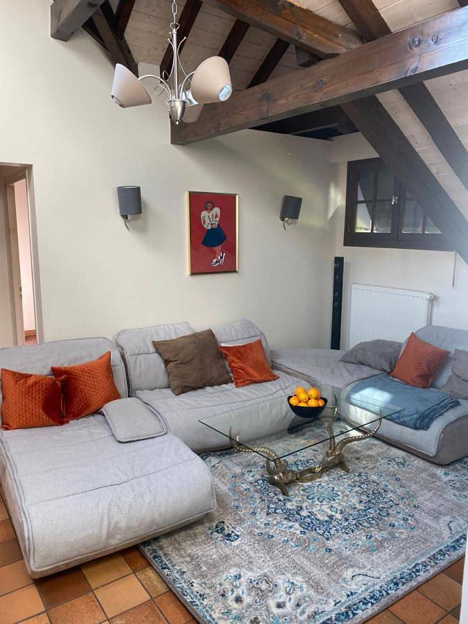 Big House, 7 Bedrooms, 10 min from Geneva in Archamps, Région de Saint-Julien-en-Genevois