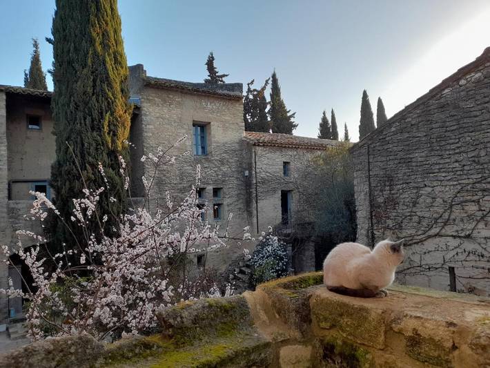 Chambre d’hôte pour 2 personnes, avec Terrasse et Jardin ainsi que Piscine et Vue à Uzès