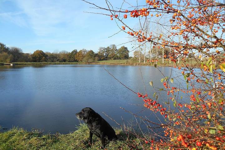 Gîte pour 9 personnes, avec jardin et piscine à Adriers