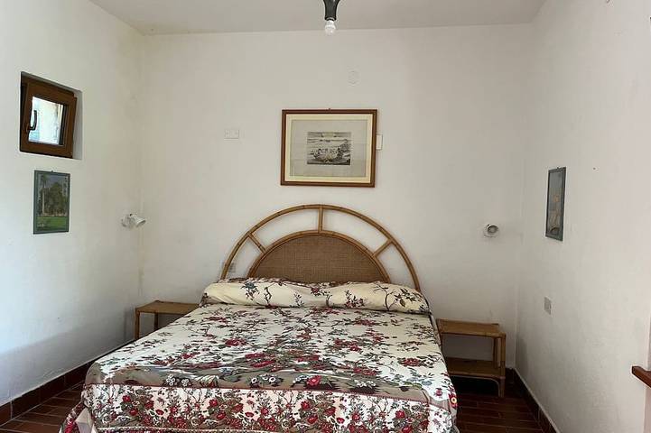 Hütte für 6 Personen, mit Garten, mit Haustier auf Elba - 4