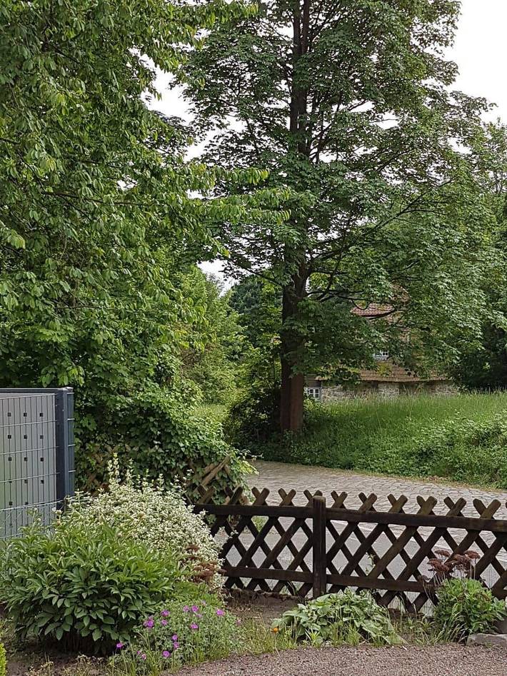 Ferienhaus für 8 Personen, mit Terrasse und Garten in Lüneburg und Umgebung - 2