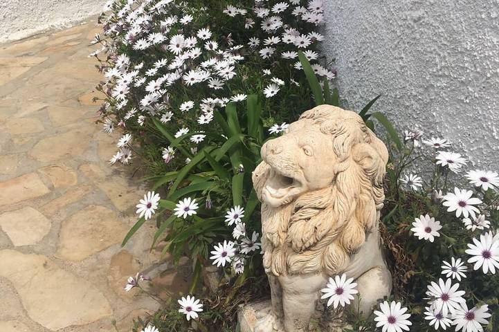 Charming  House with  spaciousGarden and Terrace in Miami Platja, Mont-roig del Camp