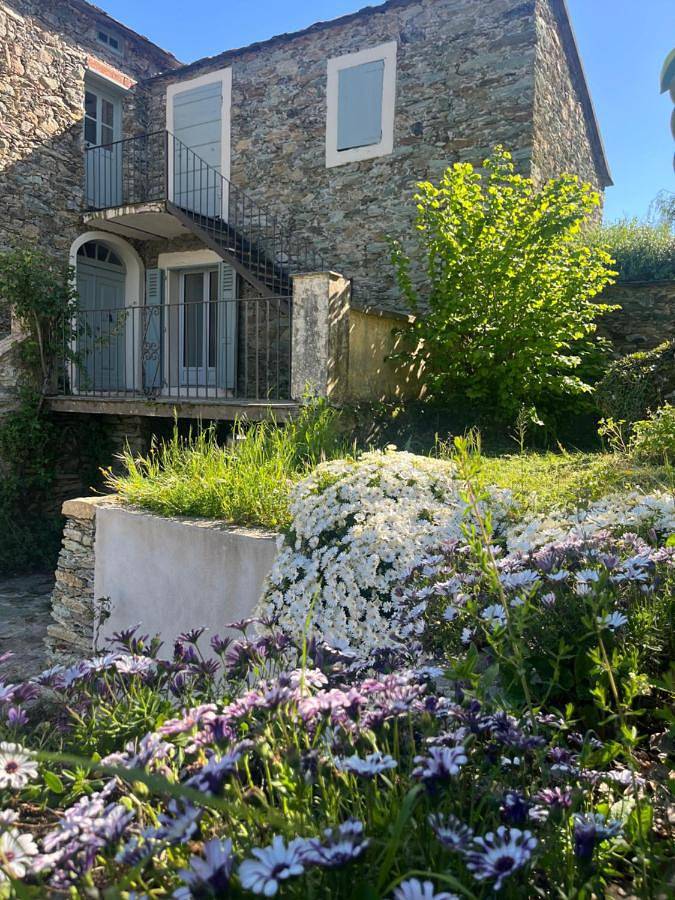 Appartement entier, Suite avec jardin et piscine in Murato, Région de Calvi
