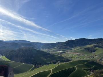 Glamping voor 4 Personen in Durbach, Central Black Forest, Afbeelding 4