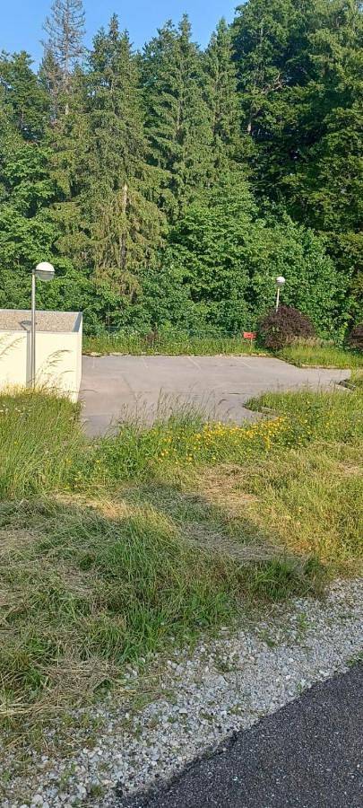 Gîte pour 6 personnes, avec terrasse à Morbier - 2