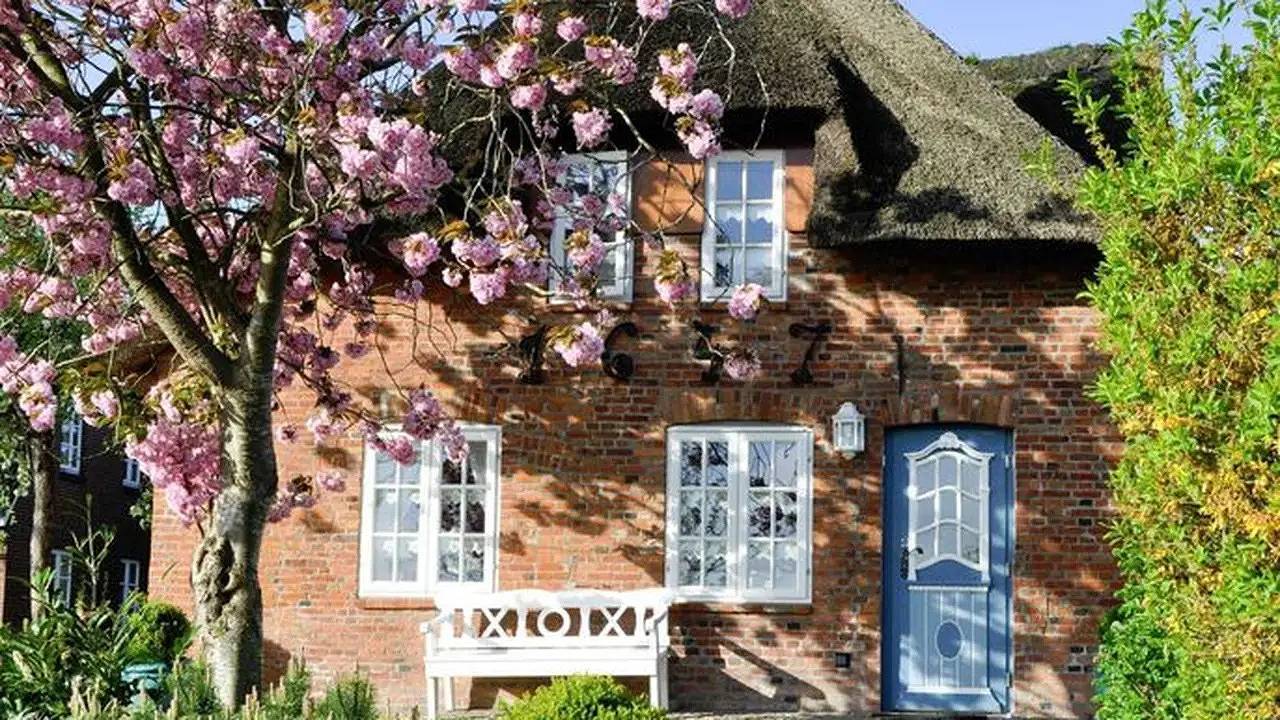 Ferienhaus für 4 Personen (94 m²) in Wyk auf Föhr (Stadt), Wyk auf Föhr