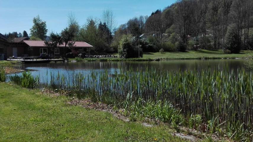 Location de vacances pour 10 personnes, avec jacuzzi et jardin à Fresse - 4