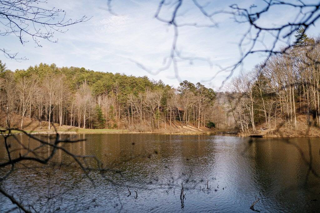 Pet-Friendly-Lakefront Cabin w/Amazing Views-Hot Tub in Cherry Log, Chattahoochee National Forest