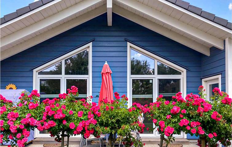 Ferienhaus für 4 Personen, mit Sauna und Terrasse, mit Haustier in Dagebüll - 2