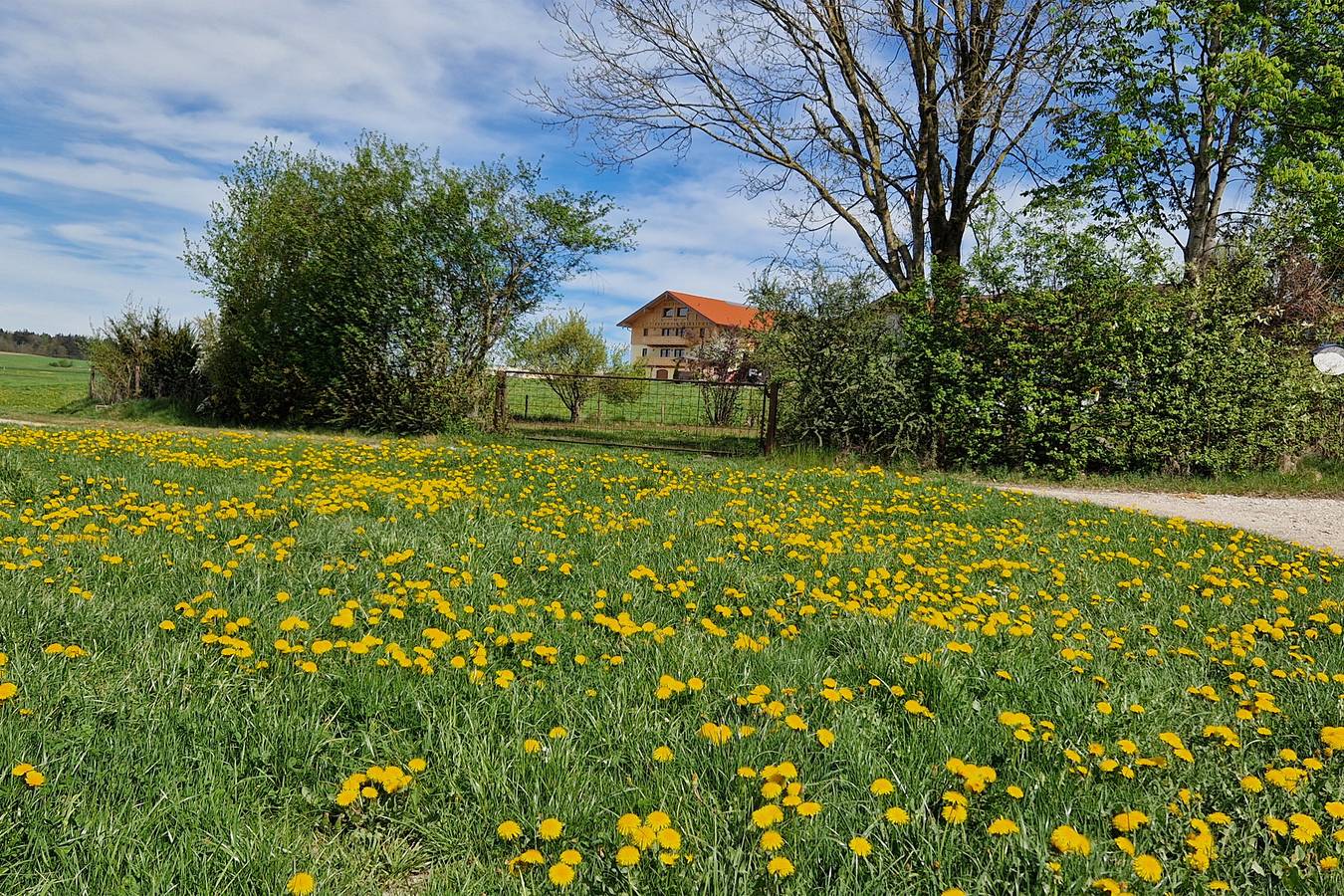 Ganze Ferienwohnung, Stadlerhof am Waginger See - Ferienwohnung Bergblick in Kirchanschöring, Landkreis Traunstein