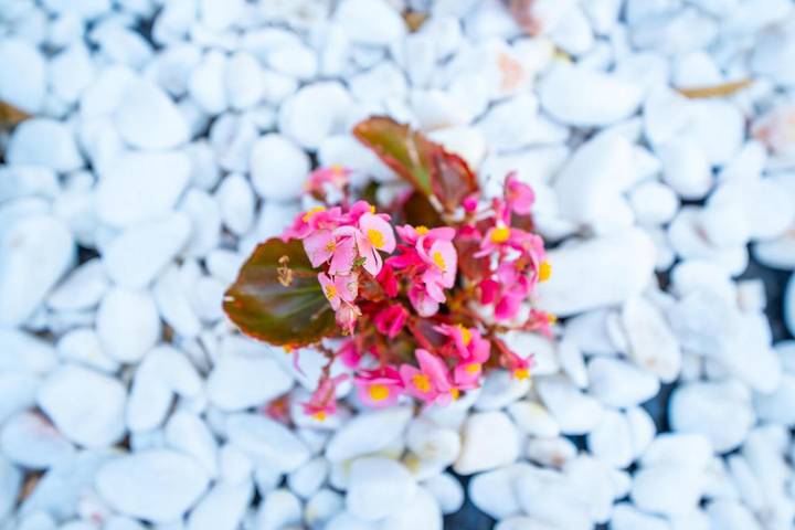 Villa pour 8 personnes, avec jardin ainsi que piscine et vue à Marmaris - 2