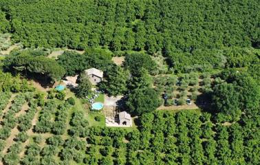 Agriturismo voor 8 Personen in Soriano nel Cimino, Provincie Terni, Afbeelding 3