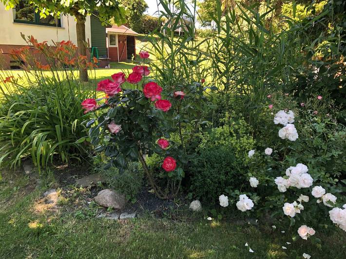 Ferienhaus für 5 Personen, mit Terrasse und Garten sowie Sauna und Seeblick in Barth - 4