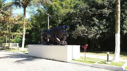 Vacation House for 6 Guests in Praia de Juqueí, São Paulo (state), Picture 2