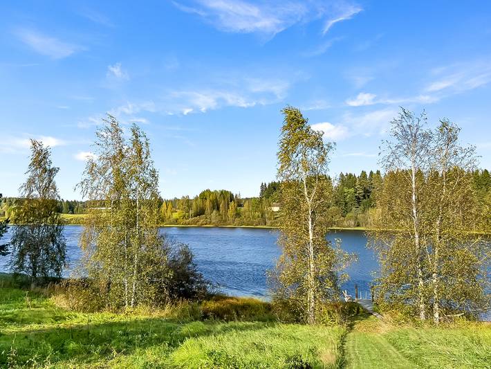 Loimu in Ylöjärvi
