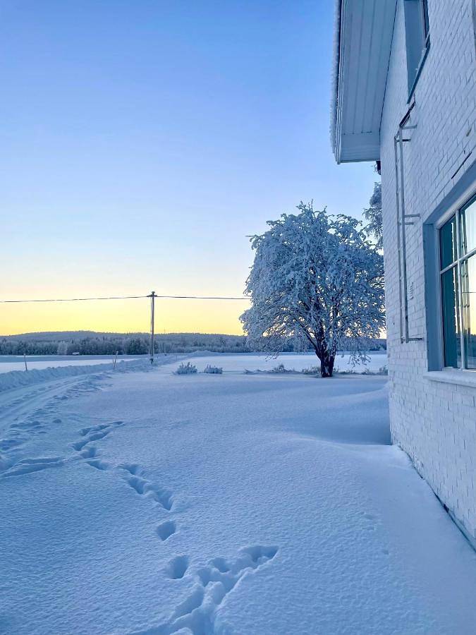 Location de vacances pour 7 personnes, avec sauna et vue sur le lac ainsi que jardin et vue, animaux acceptés à Lulea - 2