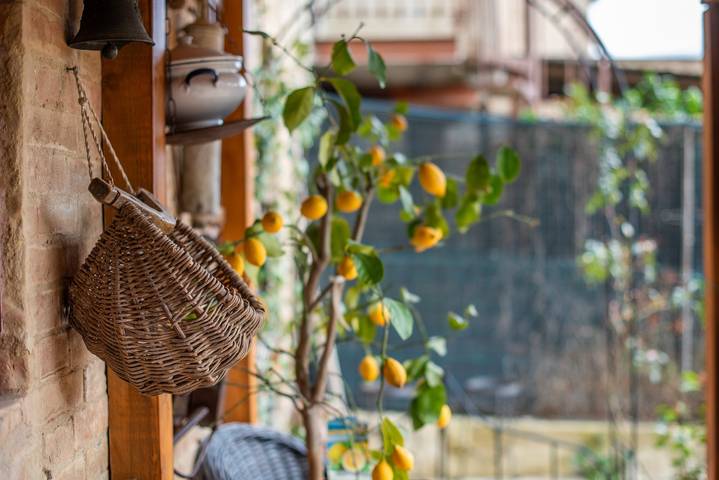 Appartamento intero, Appartamento 'Il Girasole -con Giardino-' con Aria Condizionata in Buonconvento, Siena e dintorni