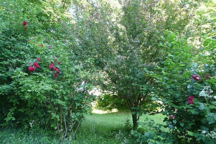 Château pour 5 personnes, avec jardin dans Centre-Val de Loire - 3
