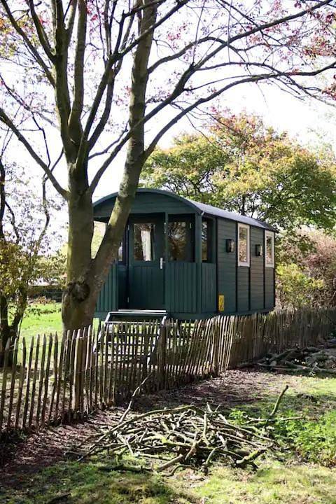 Chambre d’hôte pour 2 personnes, avec Terrasse ainsi que Jardin et Vue à Assenede
