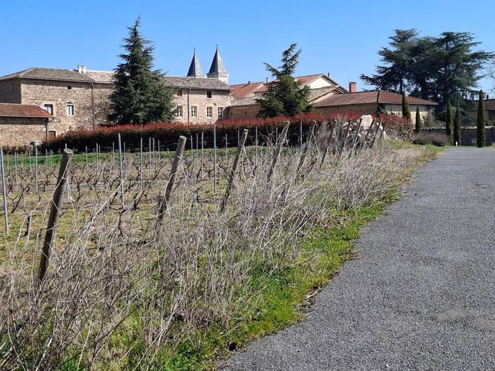 Location de vacances pour 4 personnes, avec terrasse et vue à Régnié-Durette - 2