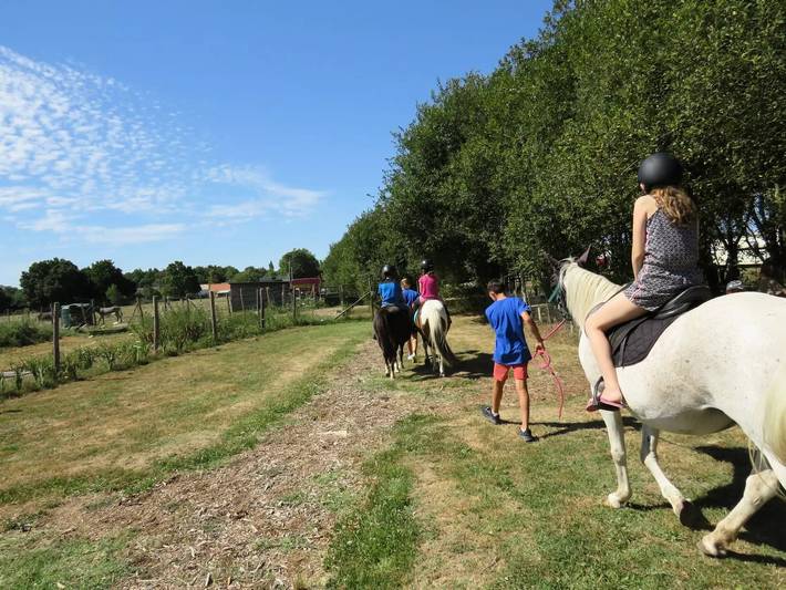 Lodge 5 Personen in Sallertaine, Vendée