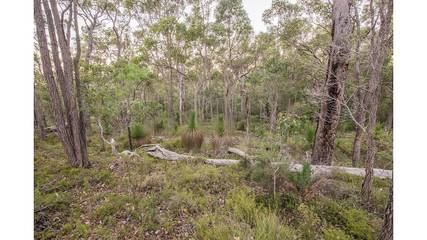 Holiday Home for 8 People in Yallingup, Western Australia, Photo 4